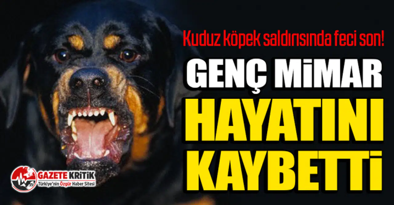 Kuduz köpek saldırısında feci son! Genç mimar hayatını kaybetti