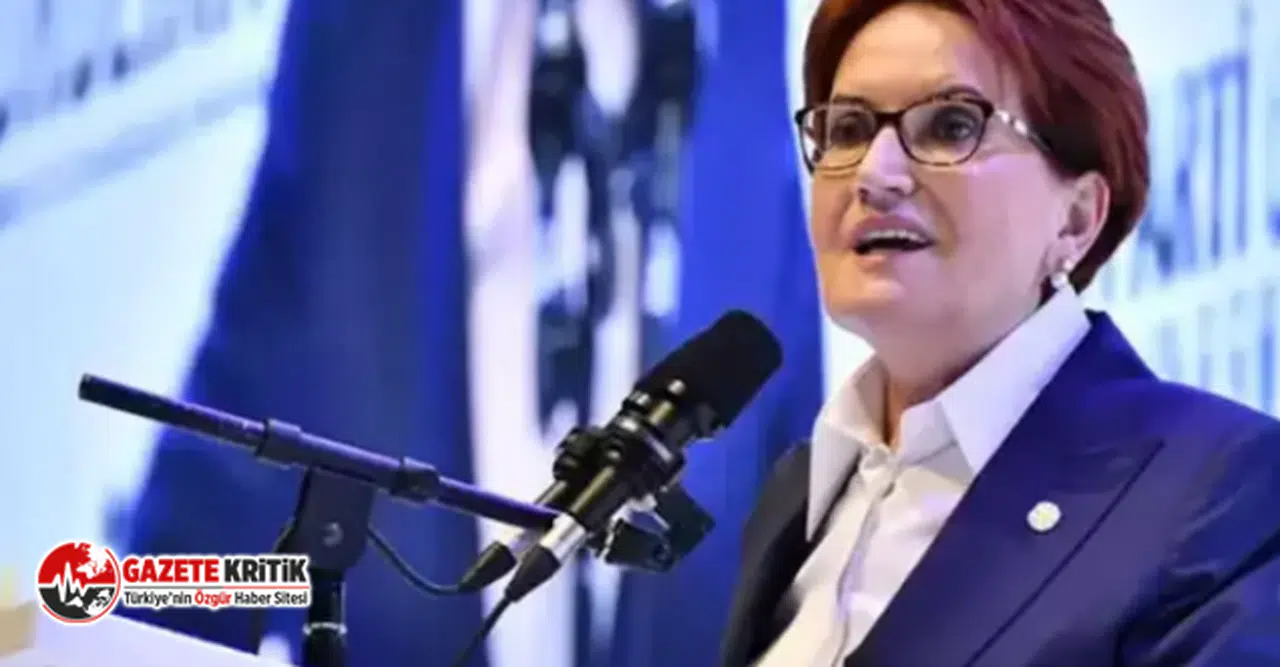 MERAL AKŞENER: KILIÇDAROĞLU'NUN  AÇIK YA DA ÖRTÜLÜ MUTABAKAT YETKİSİ VARDI