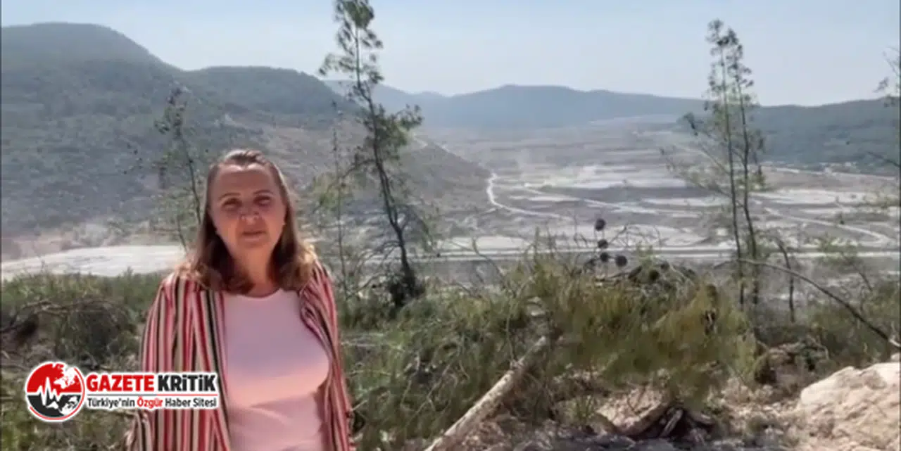 SEMRA DİNÇER’DEN AKBELEN’DE AĞAÇLARI KESENLERE: BU VATANA İHANET EDİYORSUNUZ