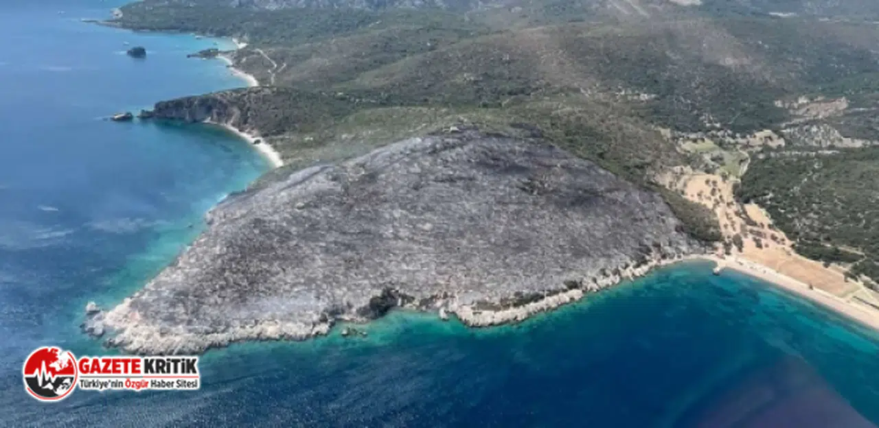 Urla'da orman yangını Urla'da orman yangını