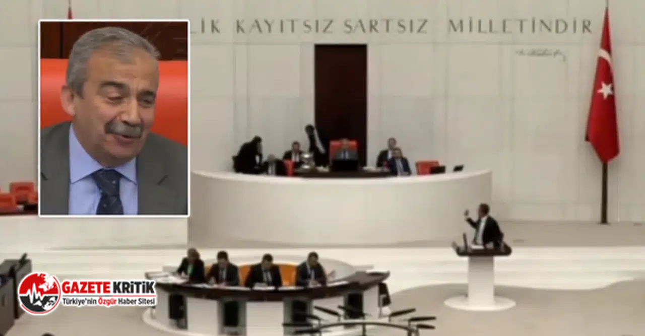 YSP'li Sırrı Süreyya Önder'den Meclis'i kahkahalara boğan sözler