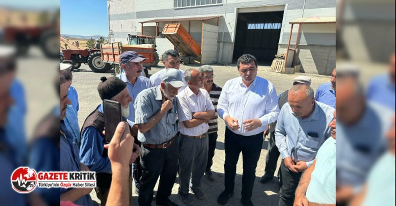 Buğday üreticisi, "21 sene AK Parti’ye bütün ailemle oy verdim. Oyum haram zıkkım olsun hepsine"