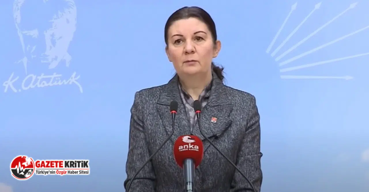 CHP'li Lale Karabıyık'tan Kampa Götürülen Çocuklar İle İlgili Açıklama