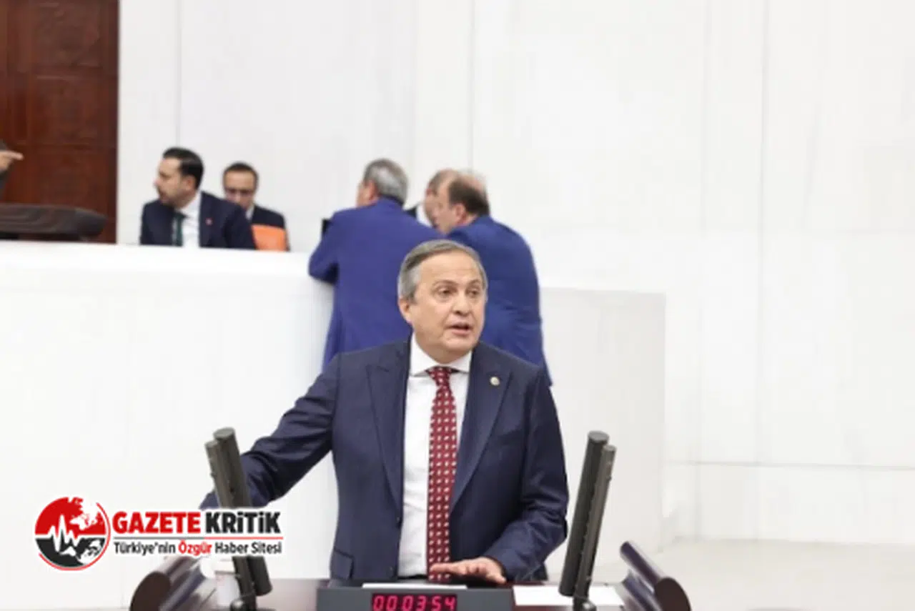 CHP'Lİ TORUN, FINDIK ÜRETİCİSİNİN SORUNLARINI MECLİS GÜNDEMİNE TAŞIDI