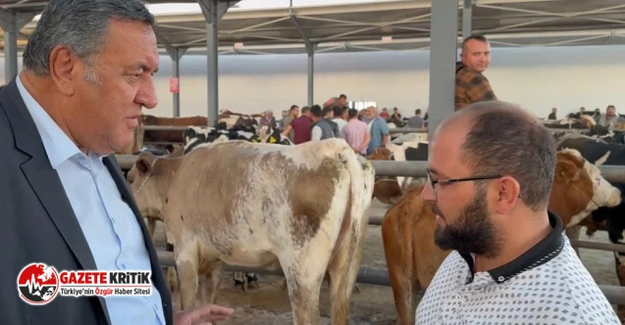 Gürer: “Yem fiyatlarındaki artış üreticiyi bunaltmış ”