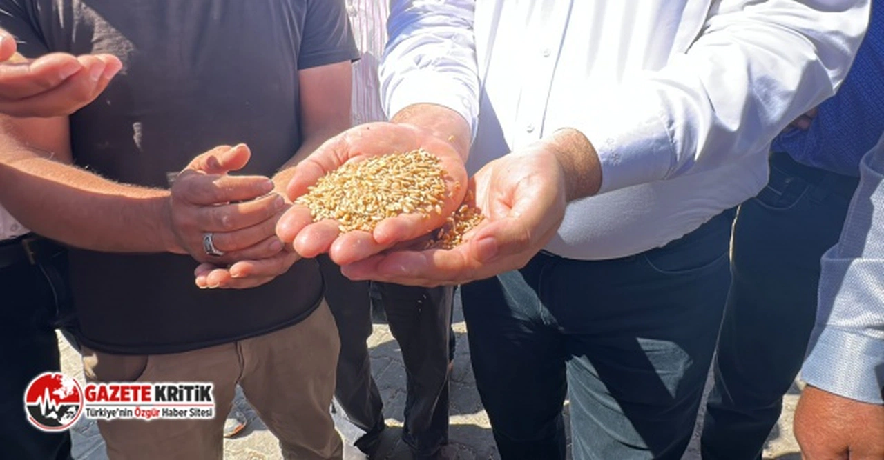 KARASU: 1 KG BUĞDAY, 1 BARDAK ÇAY ETMİYOR