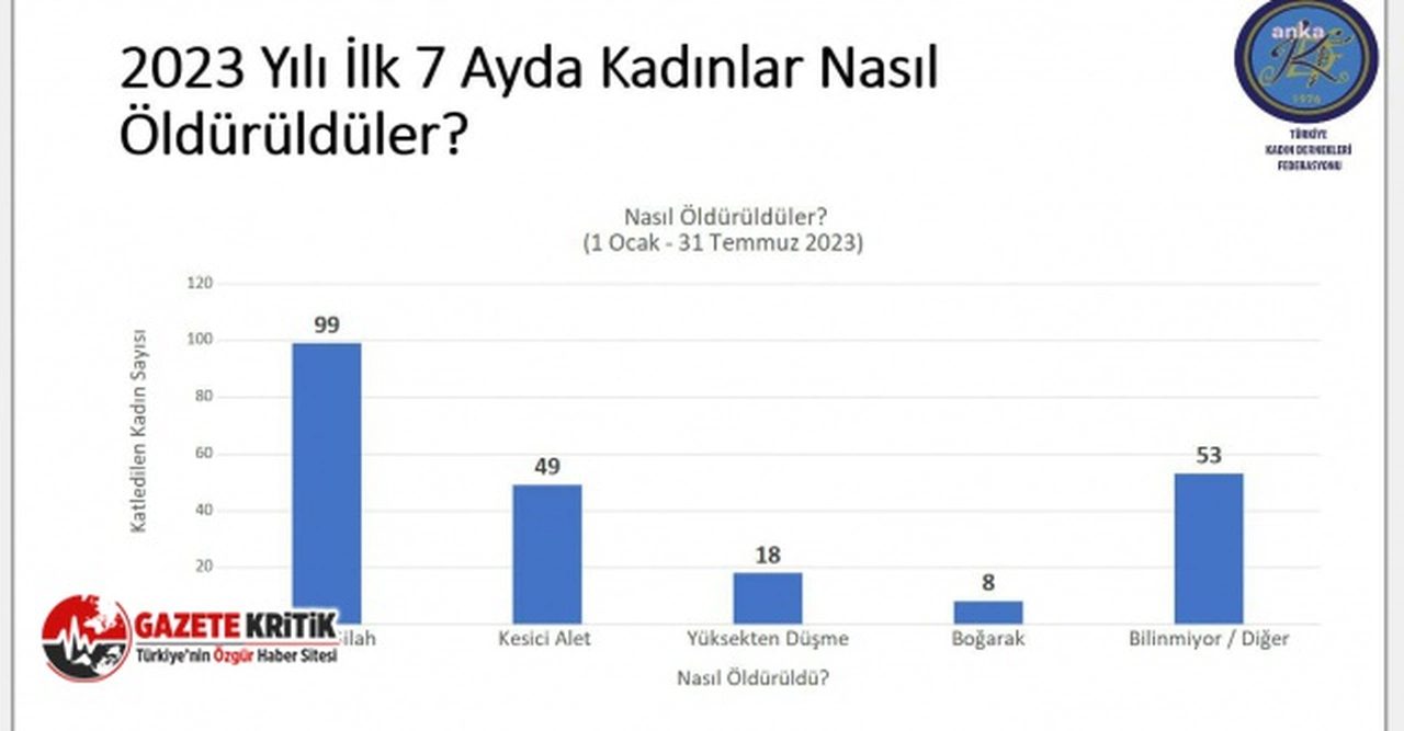 Yılın ilk 7 ayında 227 kadın erkekler tarafından öldürüldü