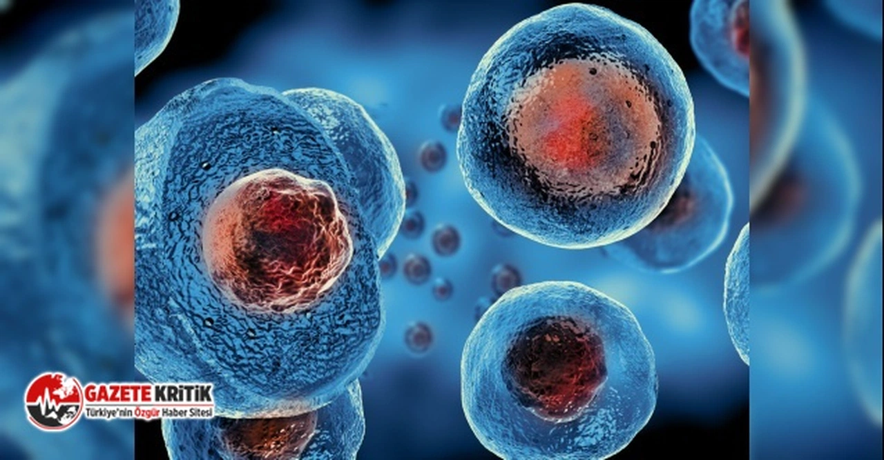 CHP'li Ayhan Barut, "Kanser görülme oranını yüzde 80 arttı"