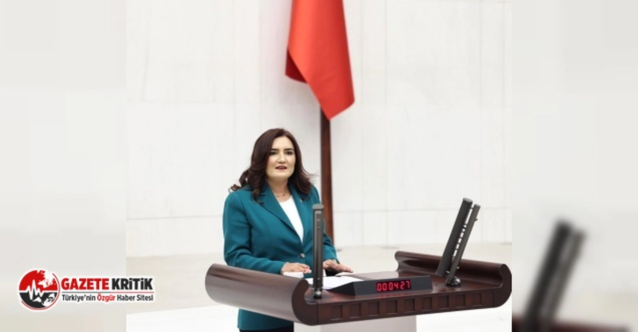 CHP'li Sevda Erdan Kılıç: 1982 askeri vesayetine de hayır, 2023 saray vesayetine de hayır