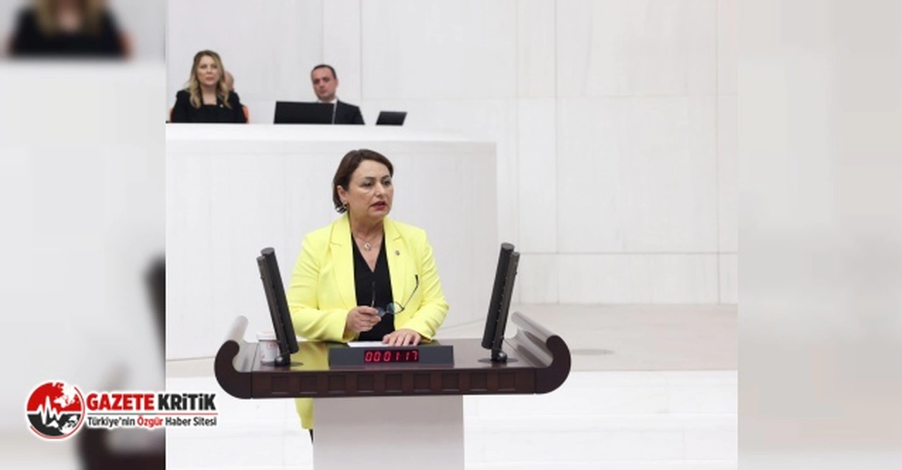 CHP'li Şevkin:İktidar, TYP'lileri aldatıyor mu?