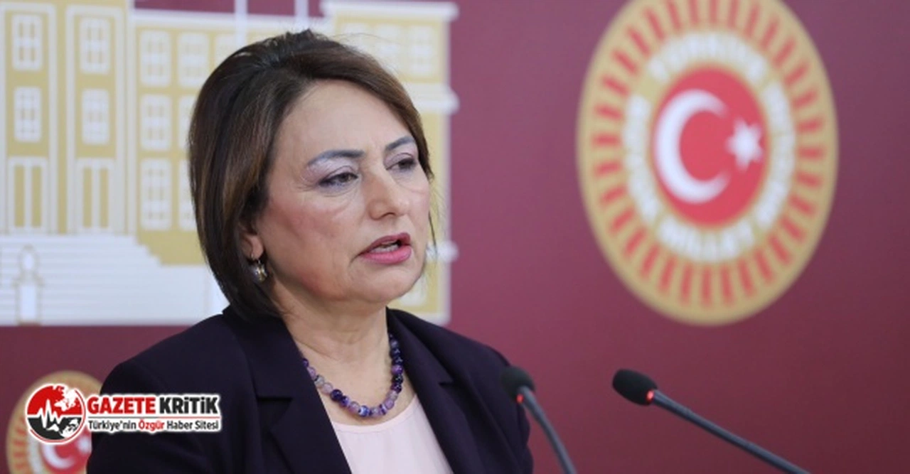 CHP'li Şevkin:“Savaş mağduru, Ukrayna’dan dönen öğrenciler eğitimlerine devam edemiyor”