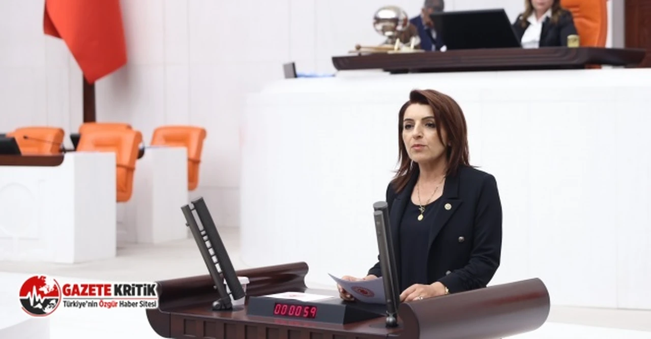 CHP Milletvekili Kış:“Bakanlar, TBMM’nin İradesini Yok Sayıyor”