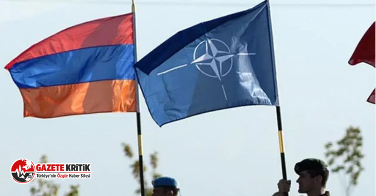 NATO'nun Avrupa Genişleme Komitesi Başkanı'ndan Ermenistan'a NATO'ya katıl çağrısı