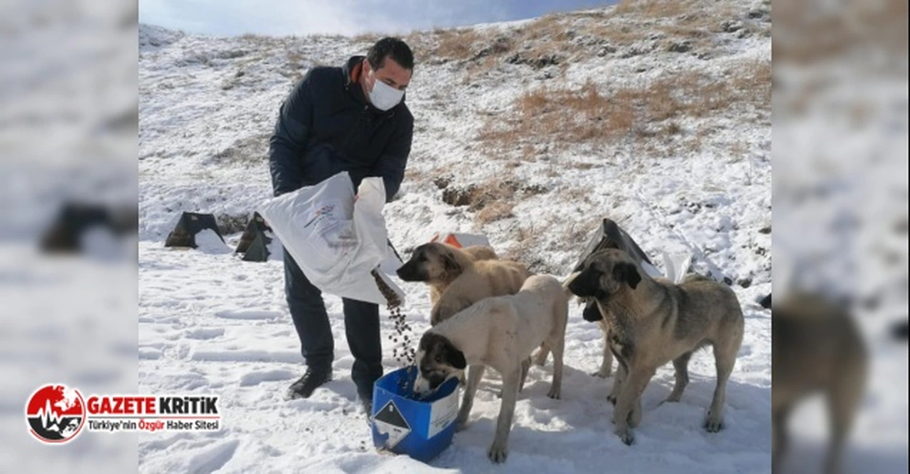 SİVAS BAKIM MERKEZİNDE 30 HAYVANIN ZEHİRLENEREK ÖLDÜRÜLMESİ İDDİASI MECLİS’E TAŞINDI
