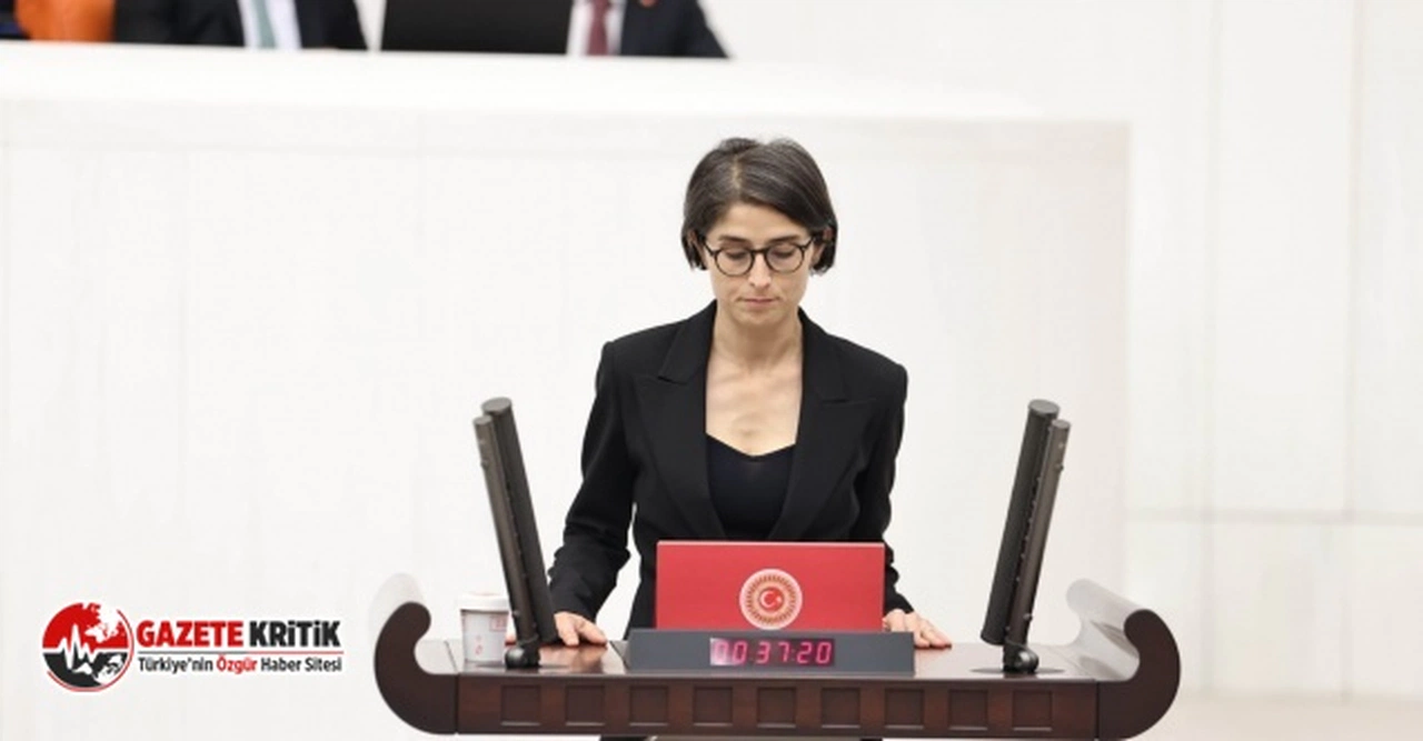 YSP'li Ceylan Akça Cupolo: Okul öncesinde kayıt ücreti yok zorunlu "ayni kayıt katkısı" var!