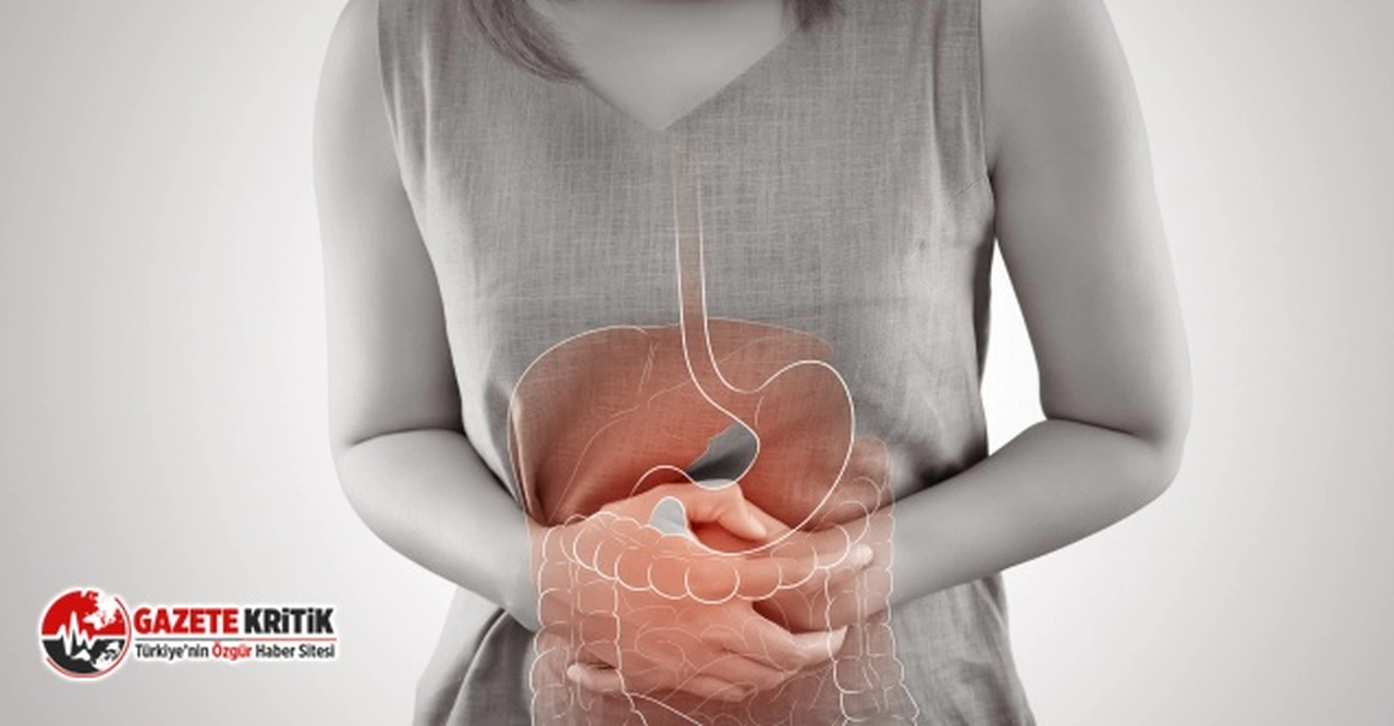 Bağırsak Sağlığına ve Bağışıklık Sistemine Dikkat!