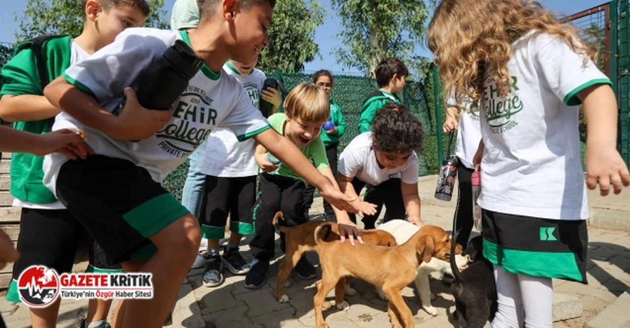 Buca Belediyesi miniklere hayvan sevgisi aşılıyor