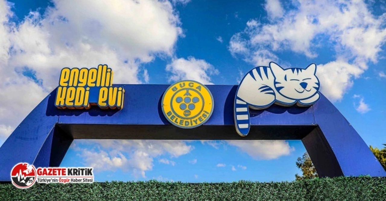 Buca’da can dostları için seferberlik başlatıldı