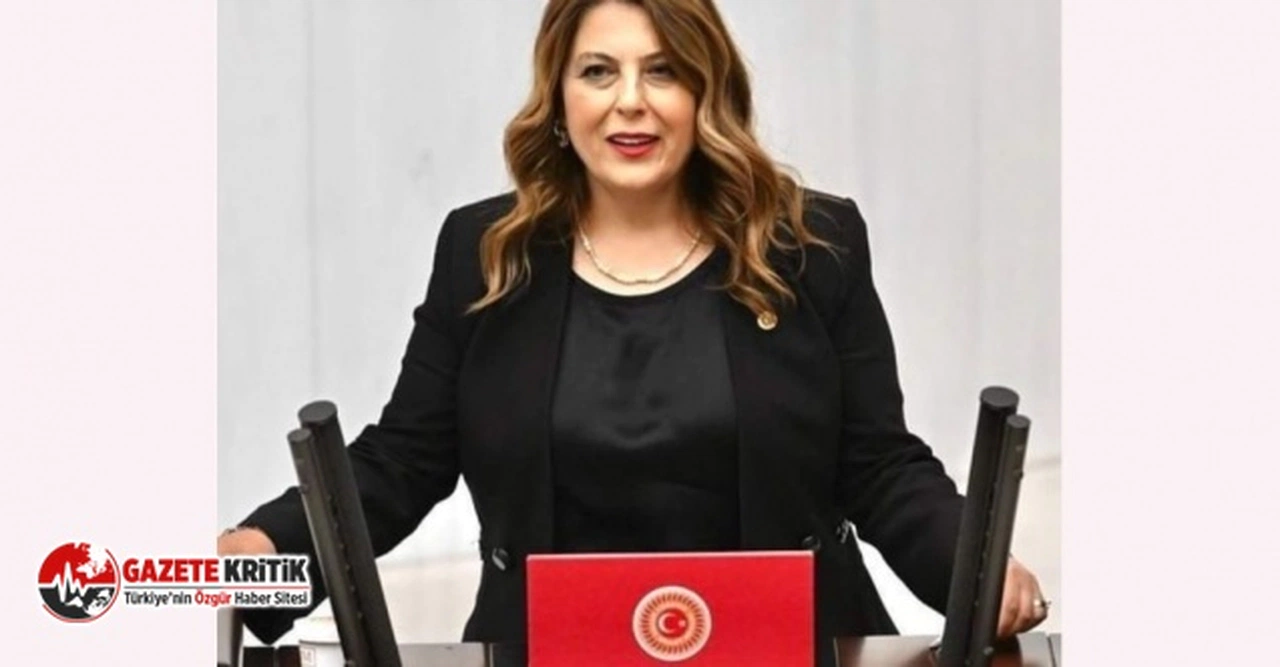 CHP'li Elvan Işık Gezmiş: İlaca erişim her geçen gün zorlaşıyor