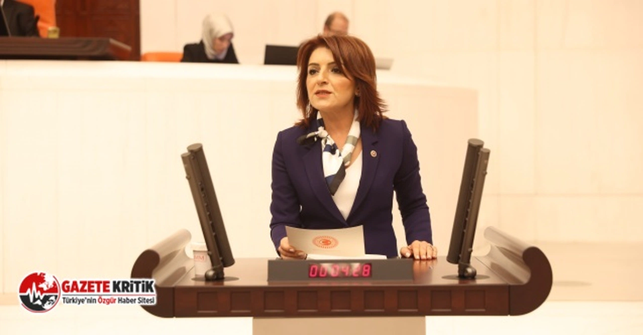 CHP Mersin Milletvekili Gülcan Kış, Ulaştırma Bakanı'na Yüklendi