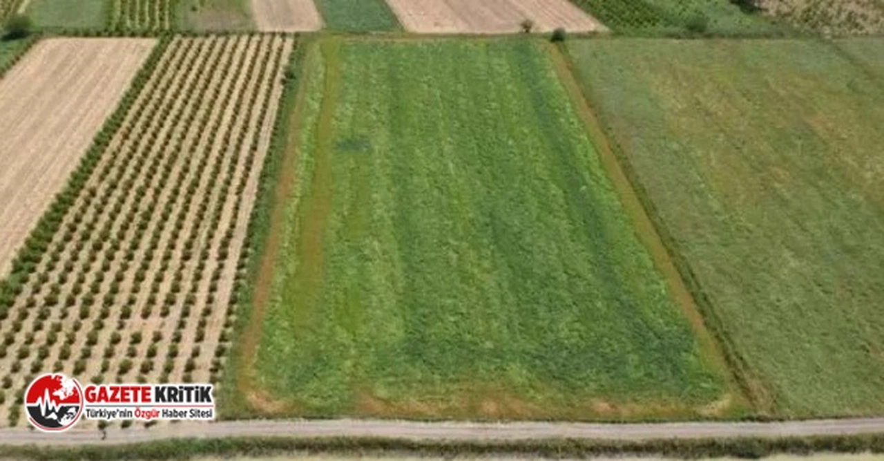 44 ilde KDV'den muaf arsa satışı yapılacak: İşte o iller...