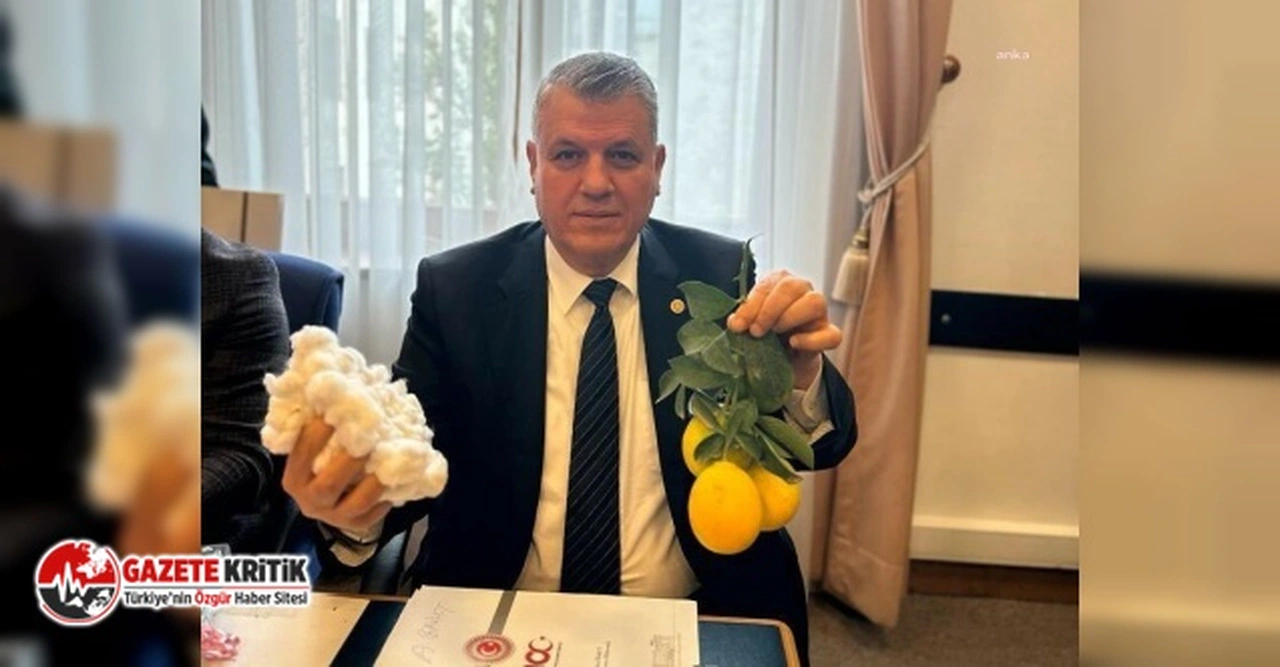 AYHAN BARUT’TAN BAKAN YUMAKLI’YA LİMON SIKARAK TEPKİ GÖSTERDİ