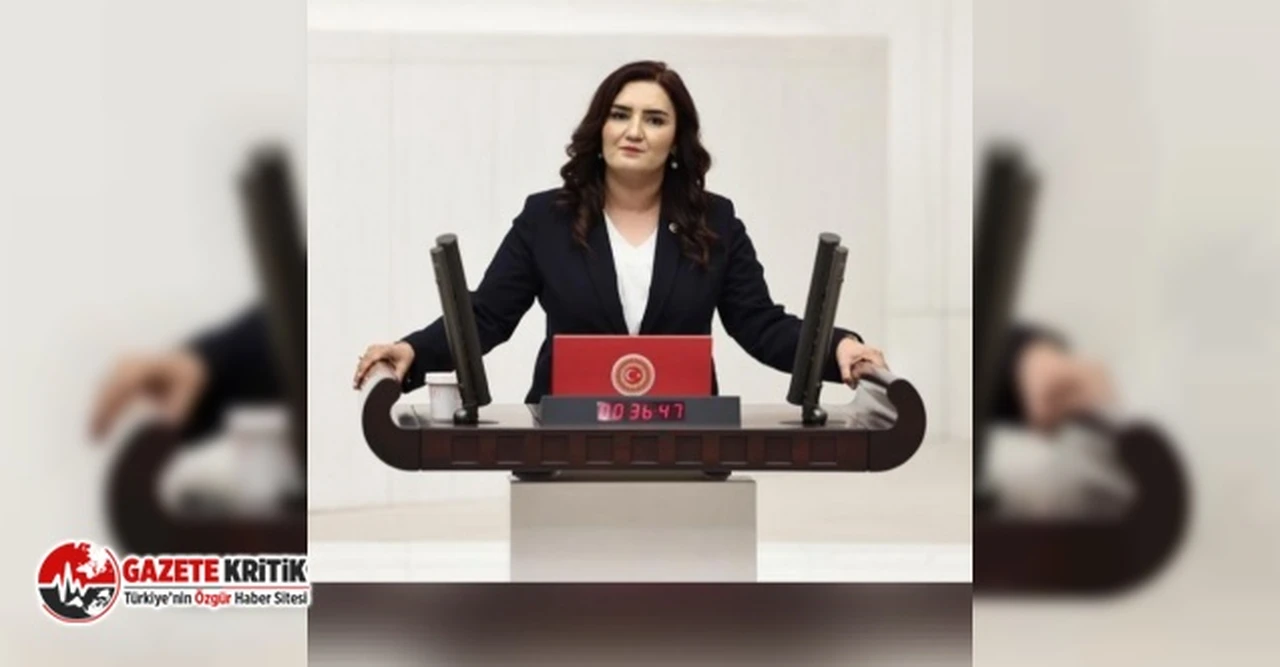 CHP İZMİR MİLLETVEKİLİ SEVDA ERDAN KILIÇ, AKRAN ZORBALIĞINI MECLİS GÜNDEMİNE TAŞIDI