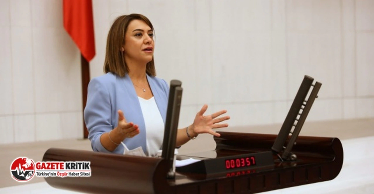CHP'li Gamze Taşcıer'den nafaka tepkisi: "43 milyon kadının hayatlarını daha da zorlaştıracak"