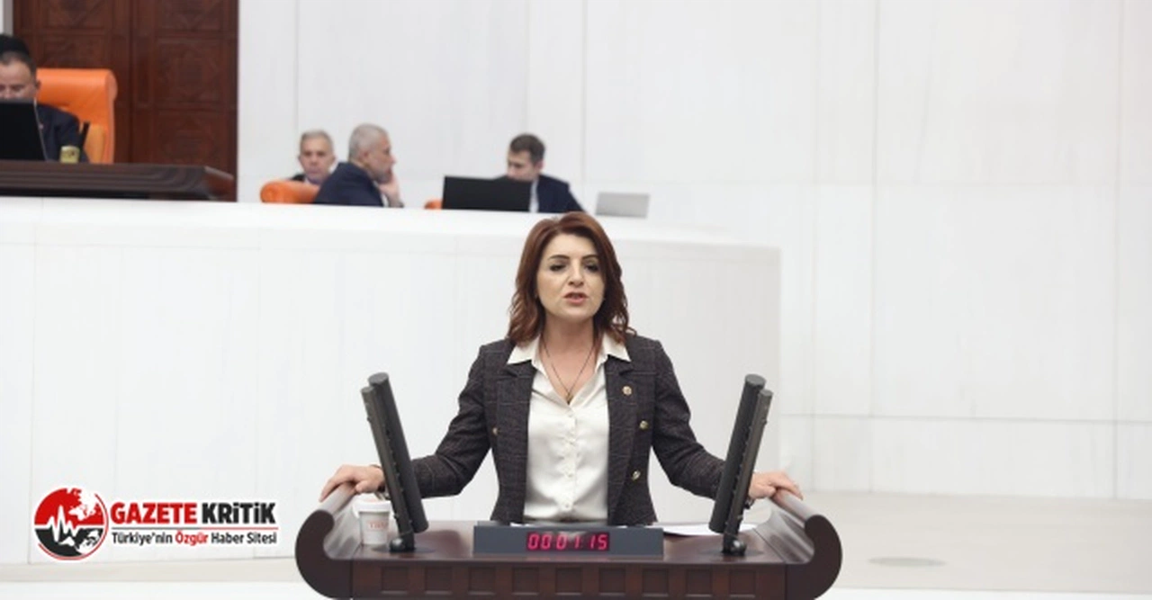 CHP milletvekili Gülcan Kış: "Büyükşehir yasası ile mağdur edilen köylülerin sorunlarına çözüm bulunmalı"
