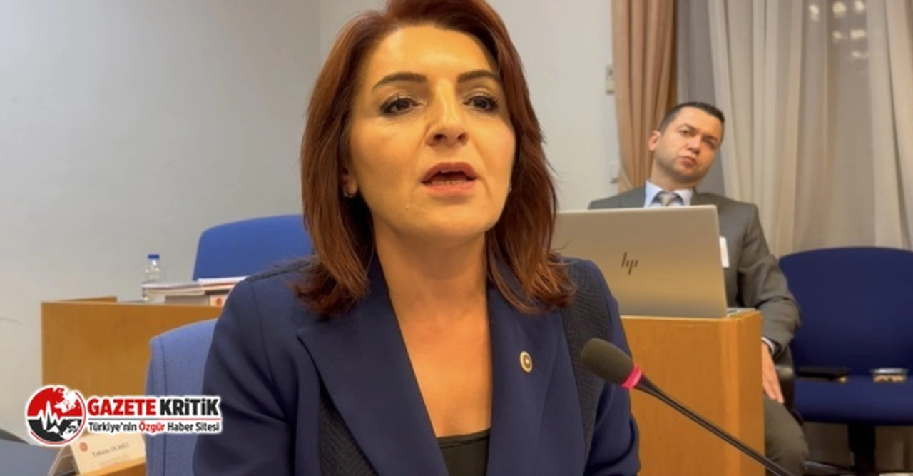 CHP’Lİ KIŞ’TAN, MERSİN’DE YATIRIMLARI TAMAMLAMAYAN HÜKÜMETE SERT TEPKİ