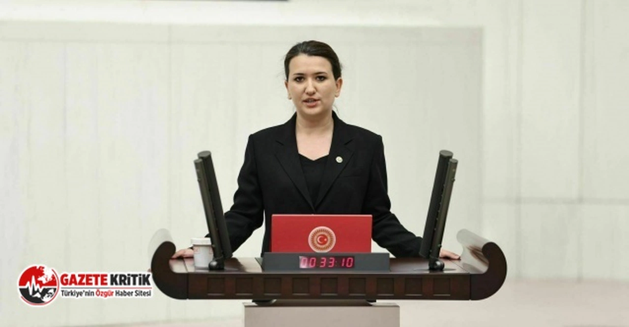 Gökçe Gökçen: “Ankara İl Milli Eğitim Müdürlüğü’nce ÇEDES Projesi için hazırlanan planın detayları nelerdir?”