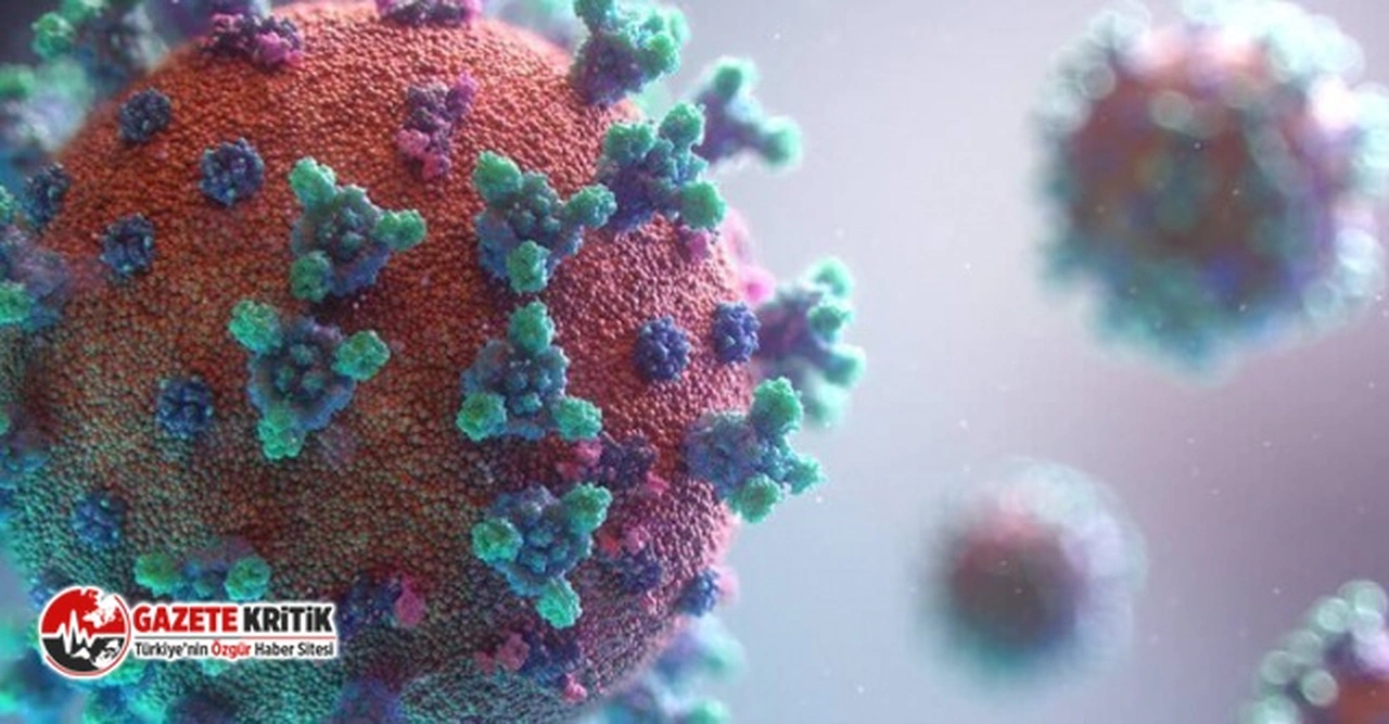 Sadece erkekleri öldüren yeni bir virüs keşfedildi