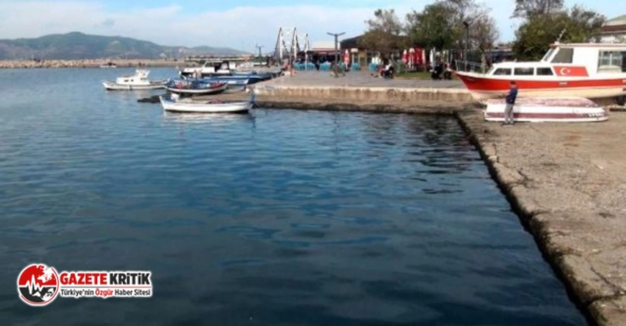 Uzmanından korkutan 'Marmara' uyarısı: 'Besin zinciri etkilenebilir'