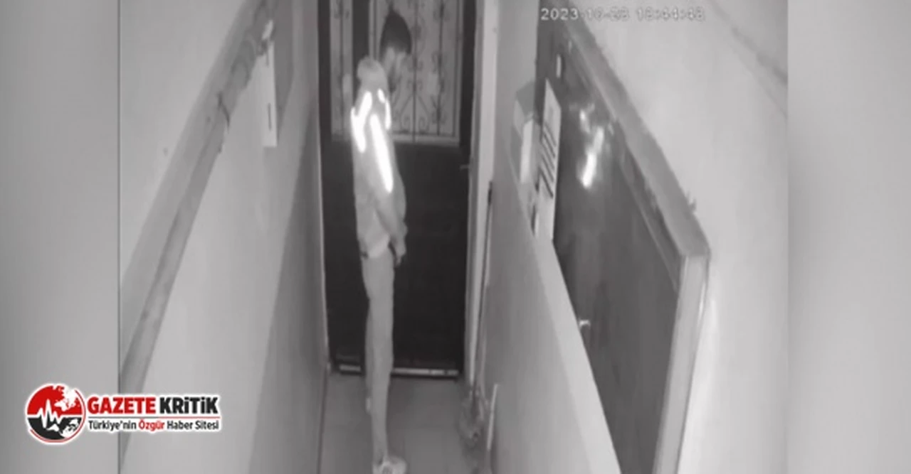 Yemek siparişi getiren kurye apartmana idrarını yaptı