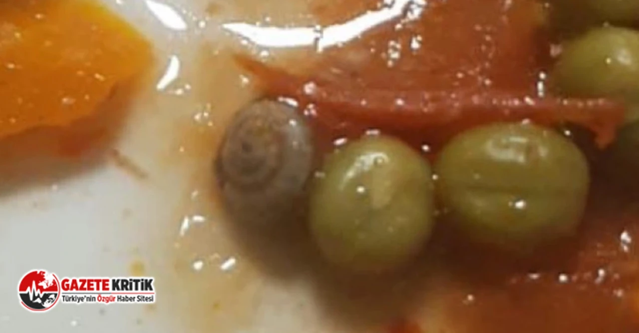 Yurt yemeklerinde ‘Salyangoz çıkıyor’ iddiasına Bakan Bak’tan yanıt geldi