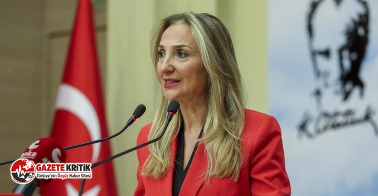 Aylin Nazlıaka: Bu yıl kadınların ve çocukların hayatı zifiri bir karanlığa mahkum edildi