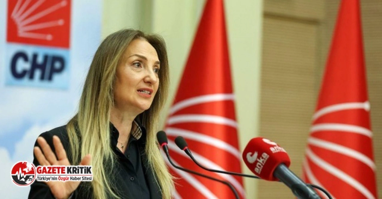 Aylin Nazlıaka: Tarikatların karanlık yüzünü gözler önüne seren Kızıl Goncalar dizisinden neden rahatsız oldunuz?