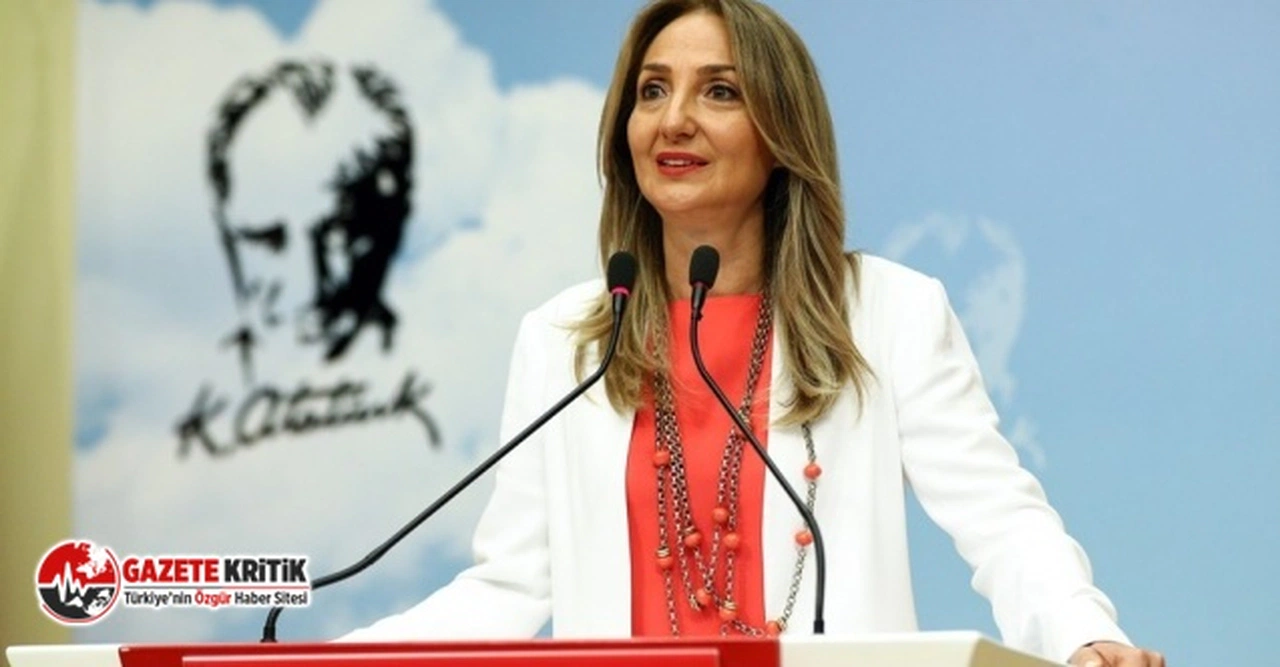 CHP GENEL BAŞKAN YARDIMCISI AYLİN NAZLIAKA, ESKİ BAKAN DERYA YANIK İLE YARGI ÖNÜNDE HESAPLAŞACAK