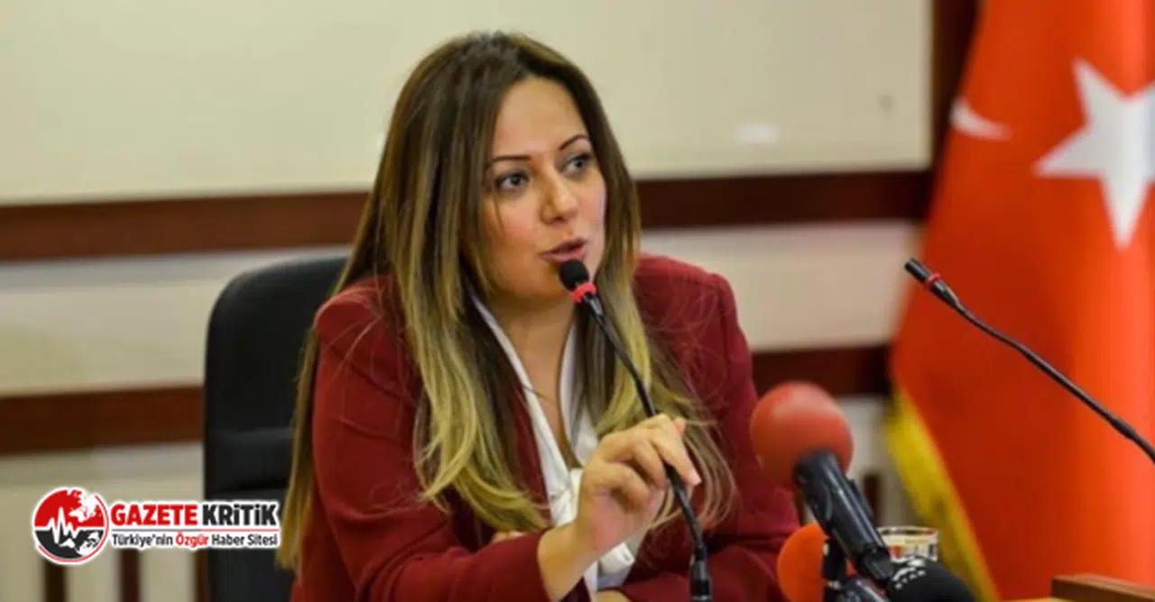 CHP Genel Başkan Yardımcısı Koza Yardımcı: 2023 Yılı Kültür Sanat Karnesi: AKP Sınıfta Kaldı