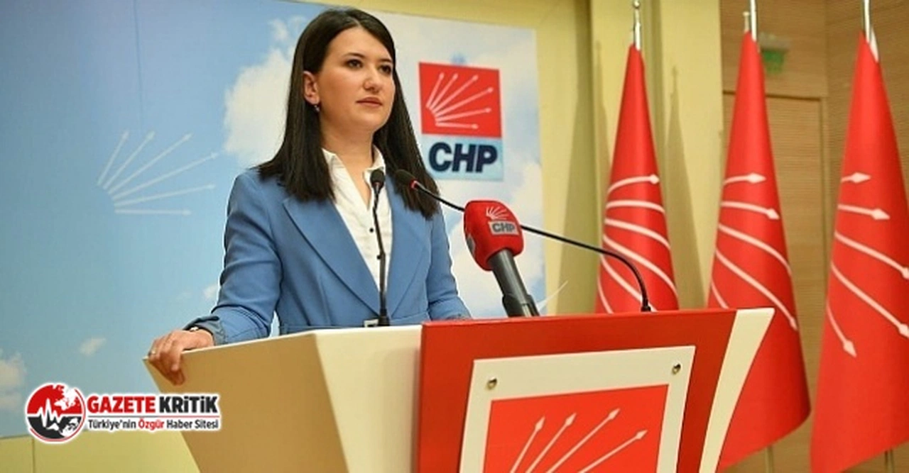 CHP'li Gökçen, cezaevinde anneleriyle kalan çocukları meclis gündemine taşıdı