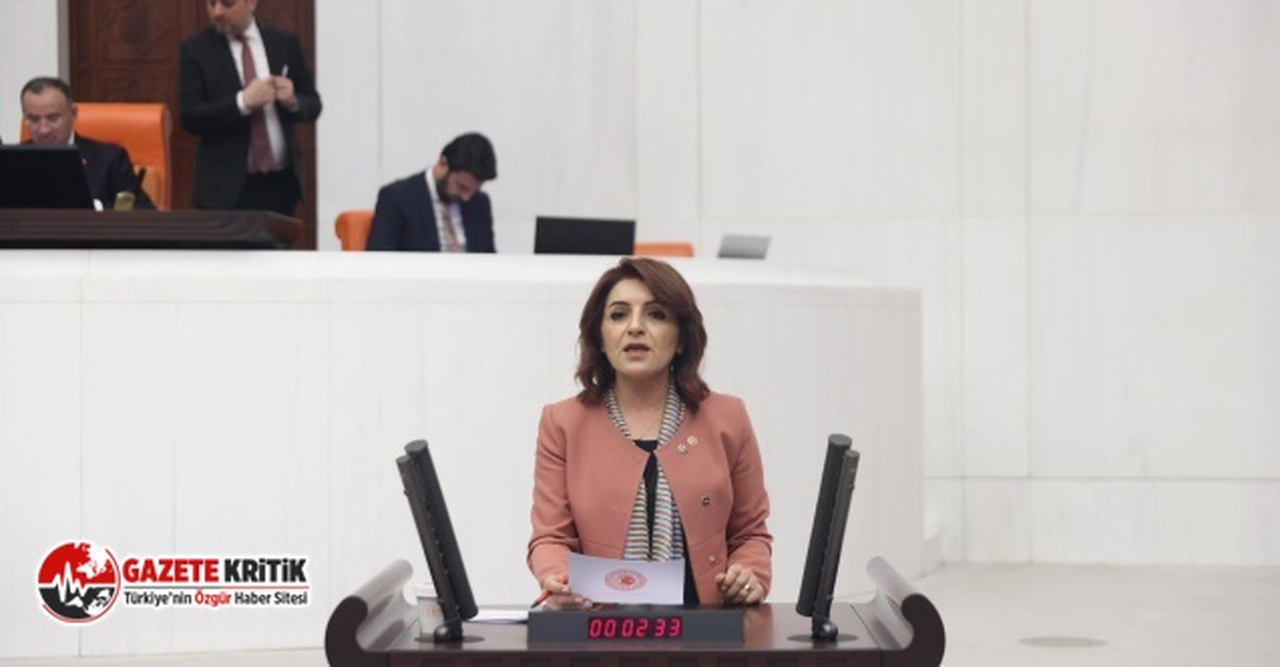 CHP’li Gülcan Kış, AKP’nin ülkenin gerçeklerinden koptuğunu söyledi
