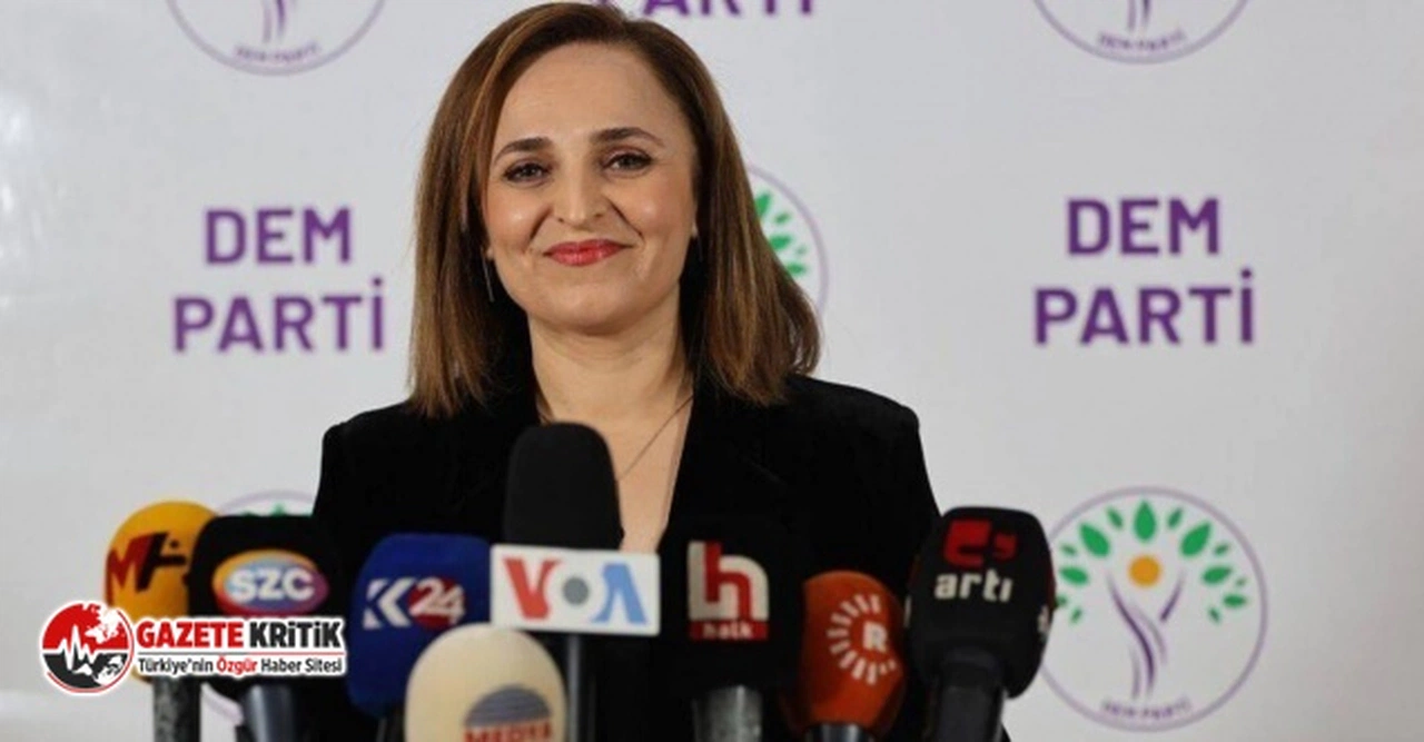 DEM Parti, aday göstereceği il ve ilçeleri açıkladı