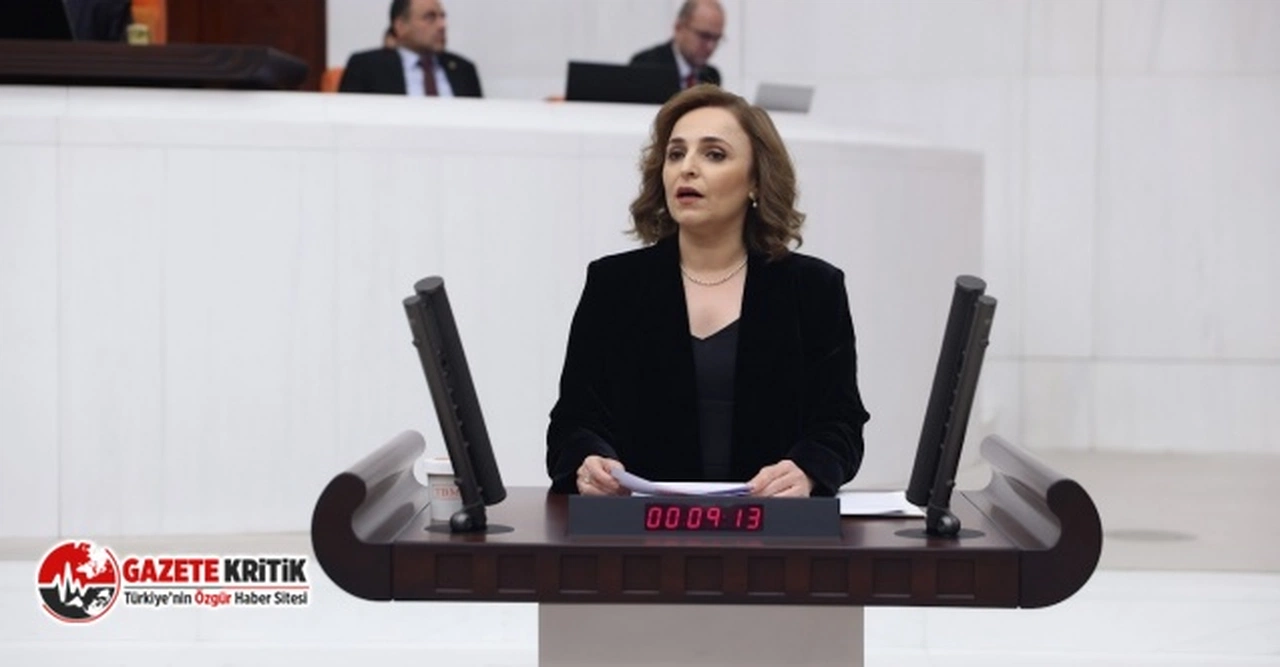 DEM Parti Sözcüsü Ayşegül Doğan: "İletişim Başkanlığı’nın uygun görmediği kişiler, gazeteci sayılmıyor artık bu ülkede"
