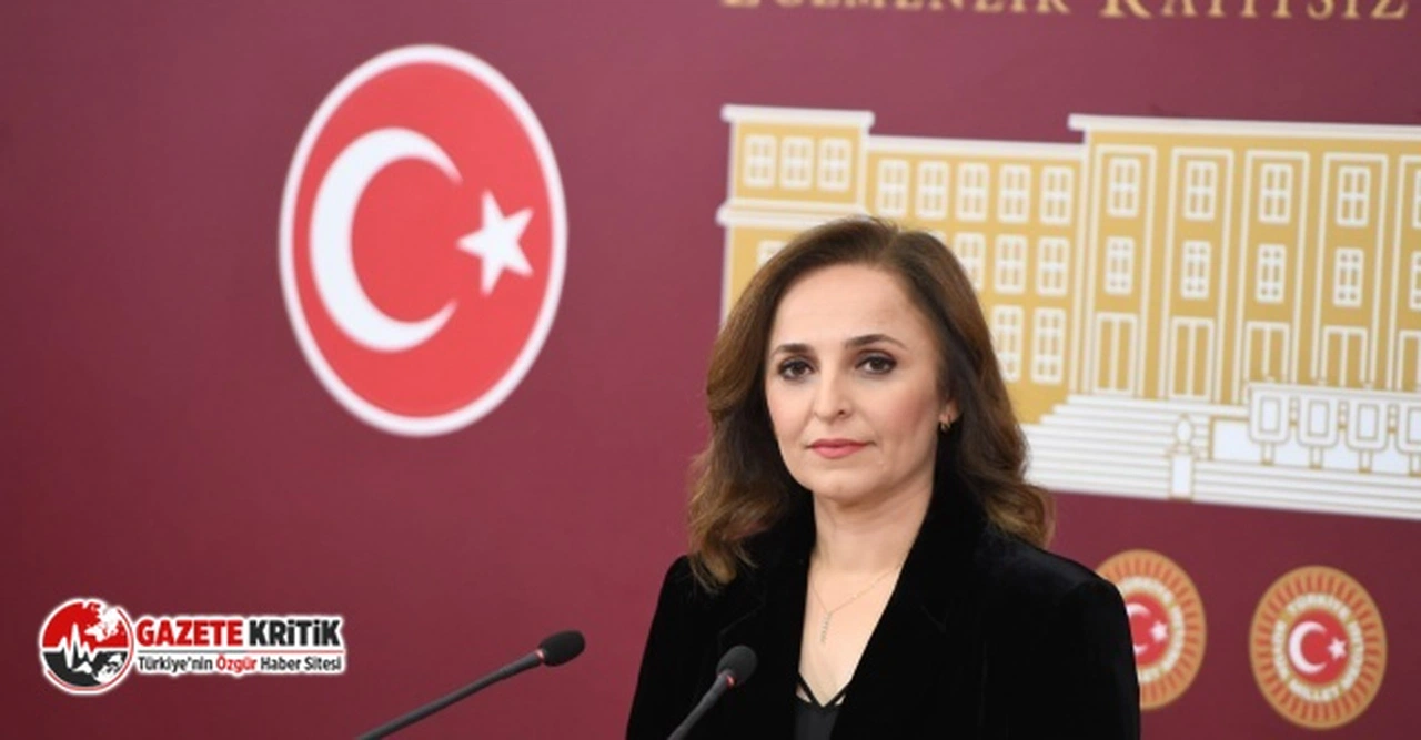 DEM Parti Sözcüsü Ayşegül Doğan, köy sakinlerinin girişinin yasaklandığı yere kömür şirketlerine verilen izni sordu!