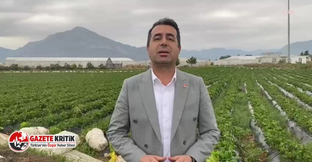 Deprem bölgesinde narenciye üreticisine 1 TL desteğe tepki: "Üreticimizi ikinci bir depremde bırakıyorsunuz”