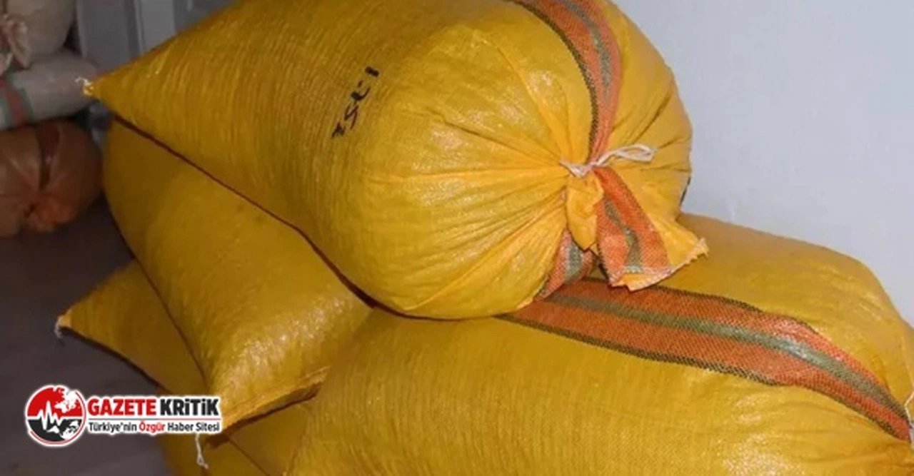 Fiyattan memnun olmayan üretici, fındığı evinde bekletiyor