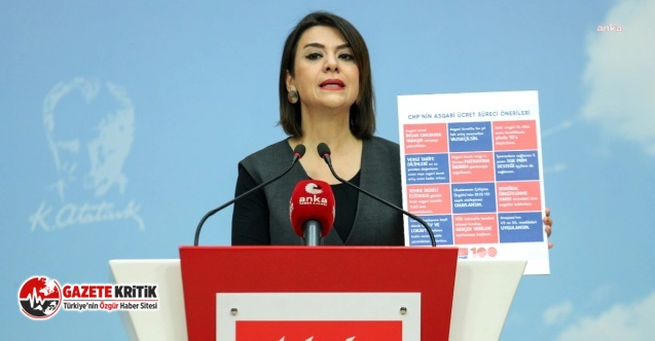 Gamze Taşcıer'den Erdoğan’a asgari ücret tepkisi: "Bu şovun artık alıcısı kalmadı"