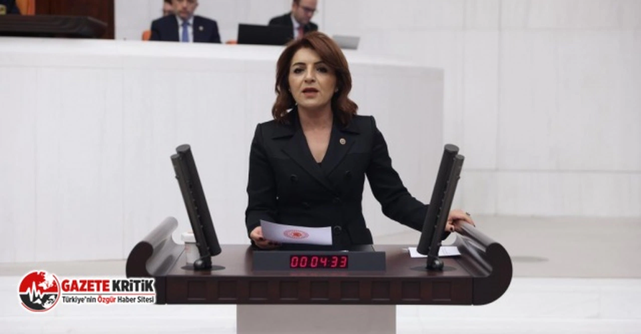 Gülcan Kış, "Fahiş fiyatlara izin vermiyoruz" diyen ticaret bakanına tepki gösterdi