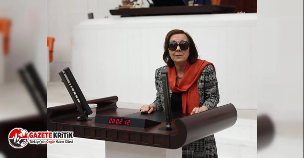 Serap Yazıcı Özbudun: "Cumhurbaşkanlığı hükümet sistemi Türkiye'yi bir felakete sürüklemiştir"