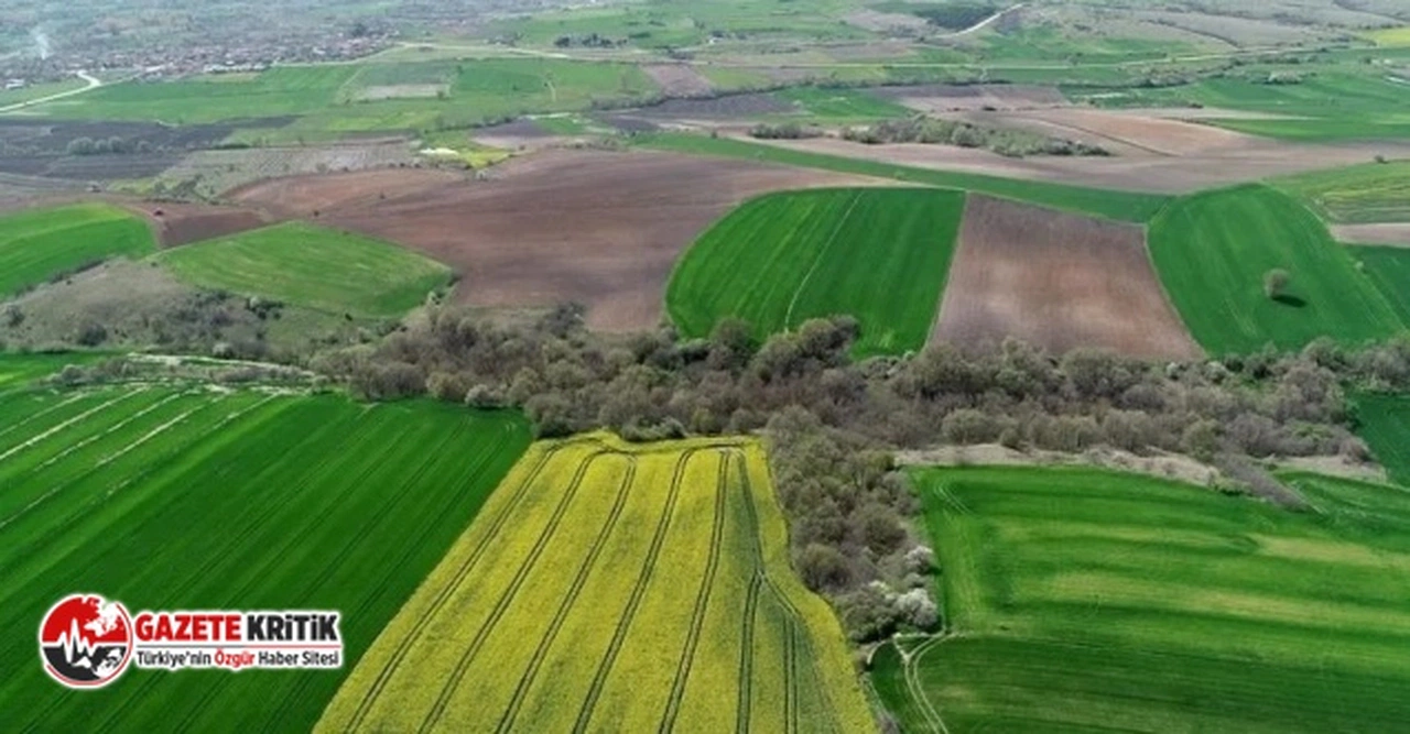 TOKİ 229 arsayı satacak